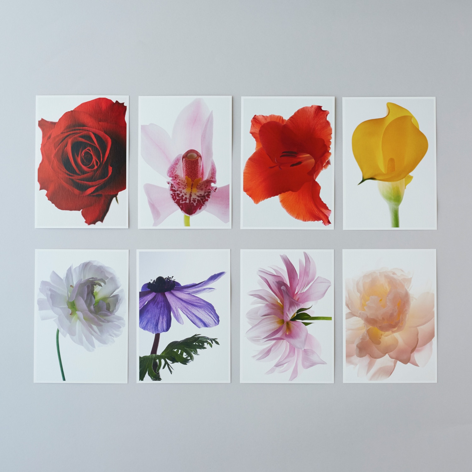 ☆林雅之 Living Flowers ポストカードセット｜これまでに販売した商品