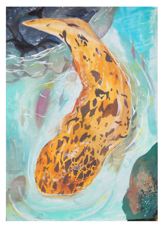 オオサンショウウオの絵を表彰 名張の小中学生の力作 1年間展示