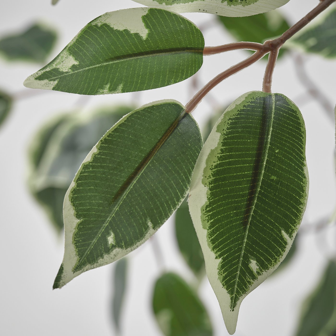 FEJKA フェイカ 人工観葉植物, 室内/屋外用/ベンジャミン, 23 cm - IKEA