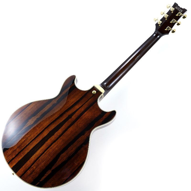 Ibanez Artcore Expressionist AM93ME-NT [SPOT MODEL] ｜イケベ楽器店