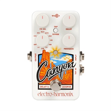 Electro Harmonix Canyon [Delay & Loopers] ディレイ エレハモ