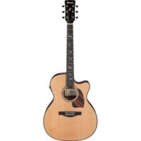 エレアコギター Ibanez 商品一覧｜イケベ楽器店オンラインストア