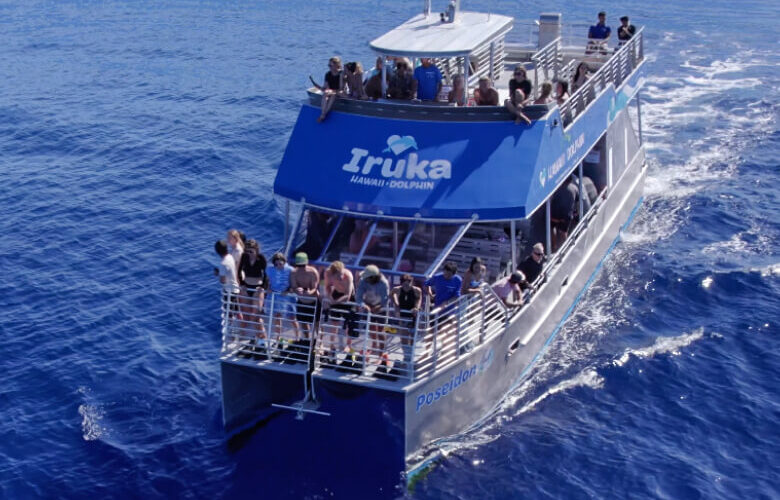 イルカ大学 - 【公式】イルカ ハワイ | 野生のイルカ・カメ・マンタツアー