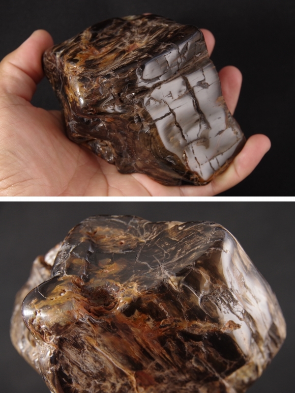 珪化木（木化石）原石磨き 735g 天然石販売 名取貴石 天然石・国産