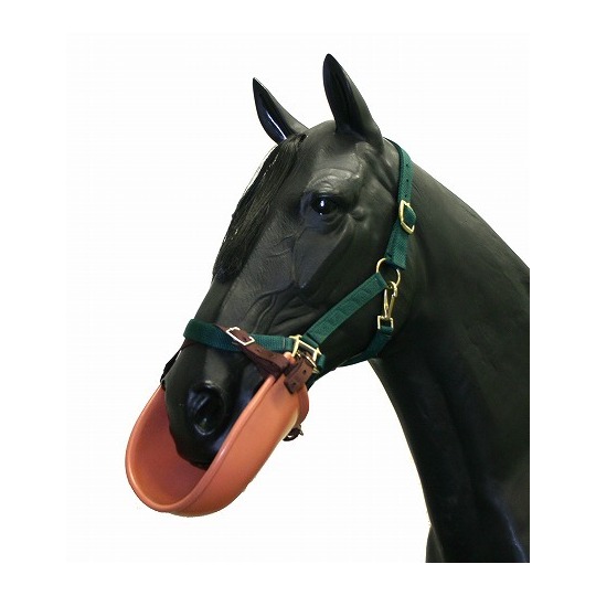 商品詳細 ジャパンギャロップスインポーター有限会社