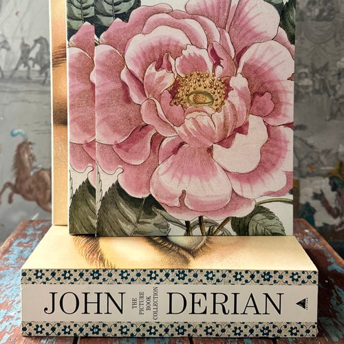 IMG_6662_500x.jpg?v=1758630993