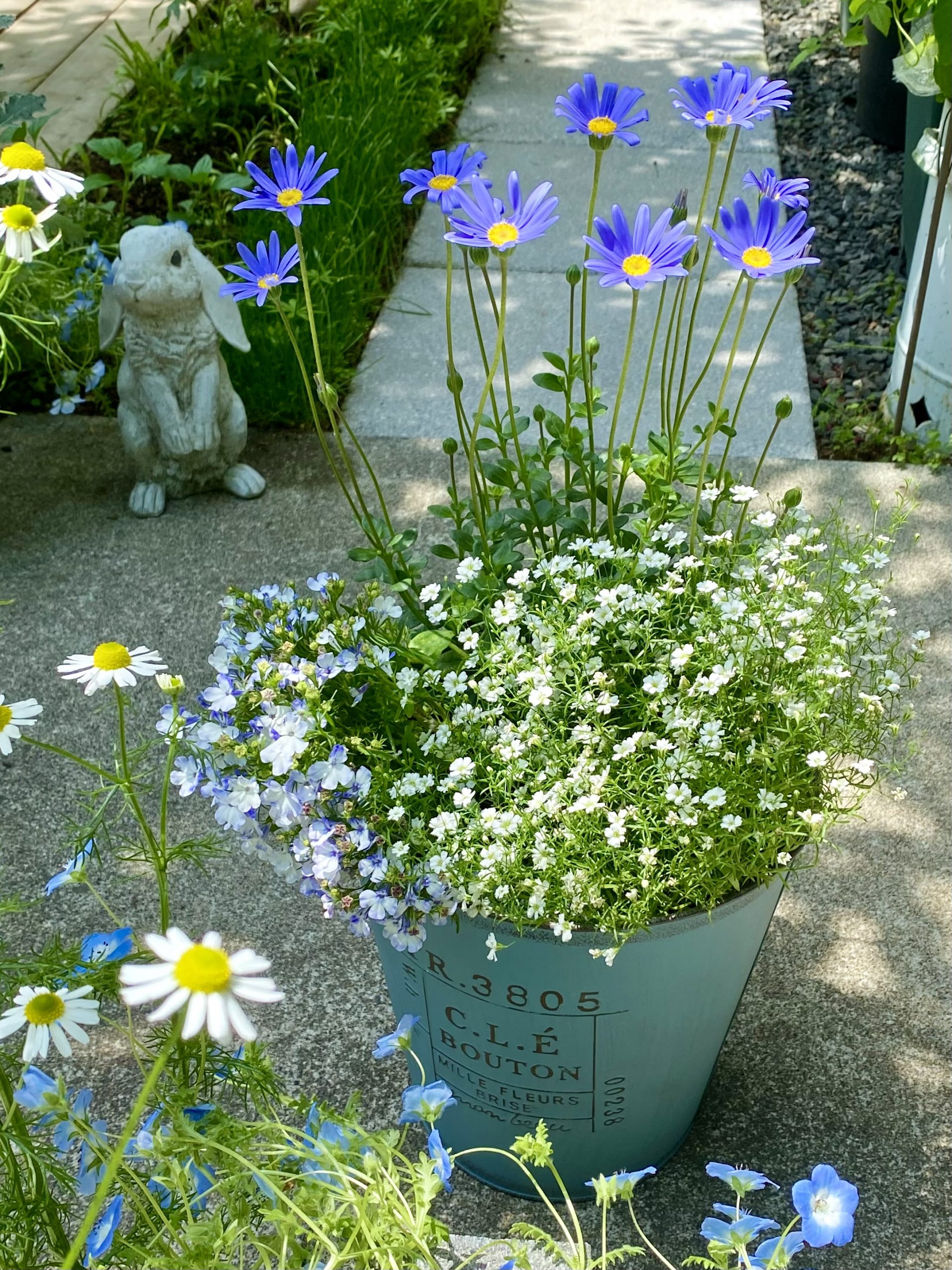 ブリキポットの寄せ植え作り | イベント | ジョンソンホームズ