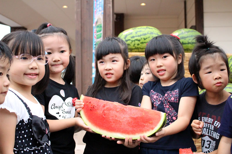 入善ジャンボ西瓜｜特産物紹介｜JAみな穂 ～富山県 入善・朝日産