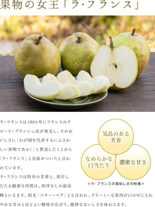 スーパーラ・フランス約2.2kg: JAてんどうフーズ|【JAタウン】産地