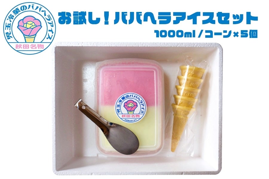お試し！ババヘラアイスセット(1000ml コーン×5個(ヘラ付き