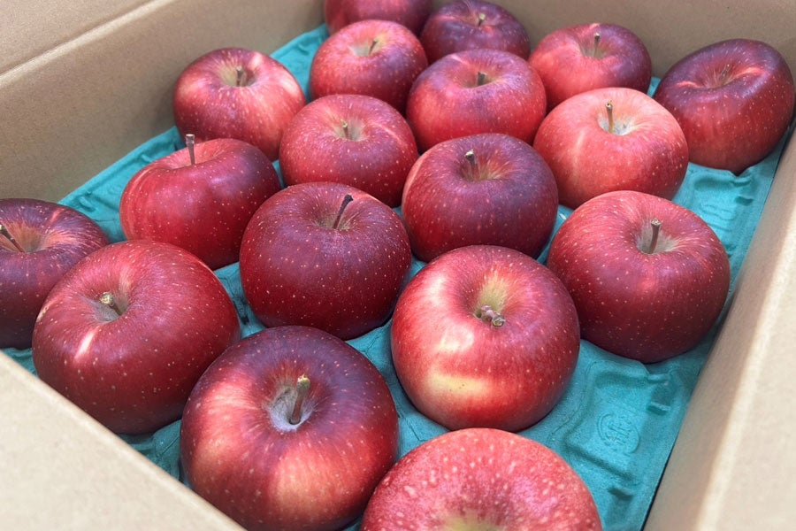 JA全農長野 シナノホッペ 約5kg(14-20玉): 全農長野 僕らはおいしい