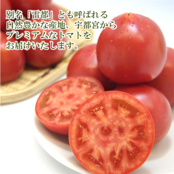 Premium7 トマト (約1.2kg×1箱) JAうつのみや産: とちぎ新鮮倉庫