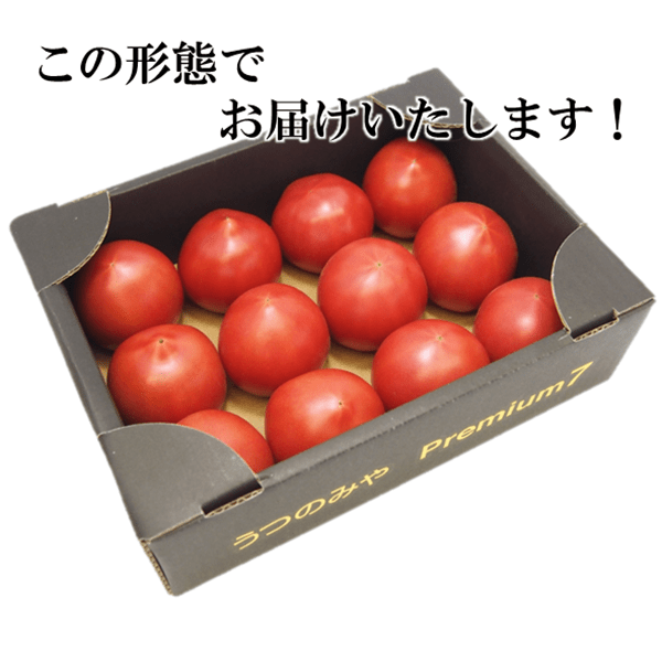 Premium7 トマト (約1.2kg×1箱) JAうつのみや産: とちぎ新鮮倉庫