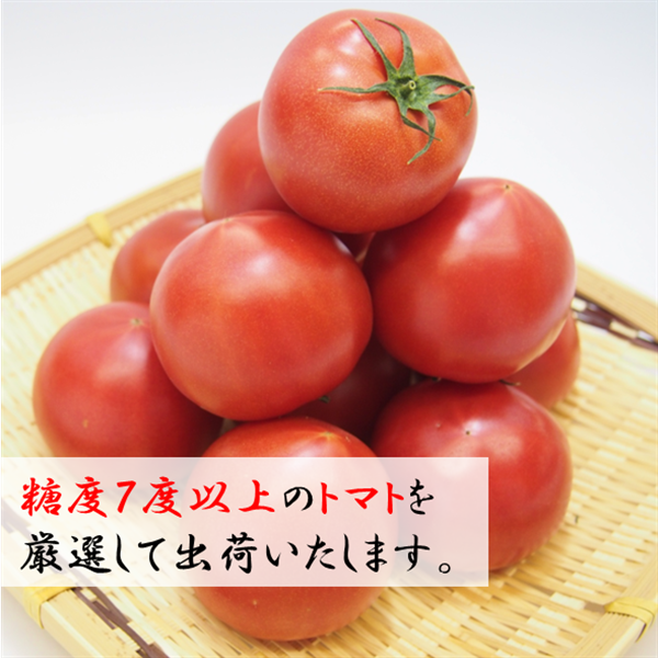 Premium7 トマト (約1.2kg×1箱) JAうつのみや産: とちぎ新鮮倉庫