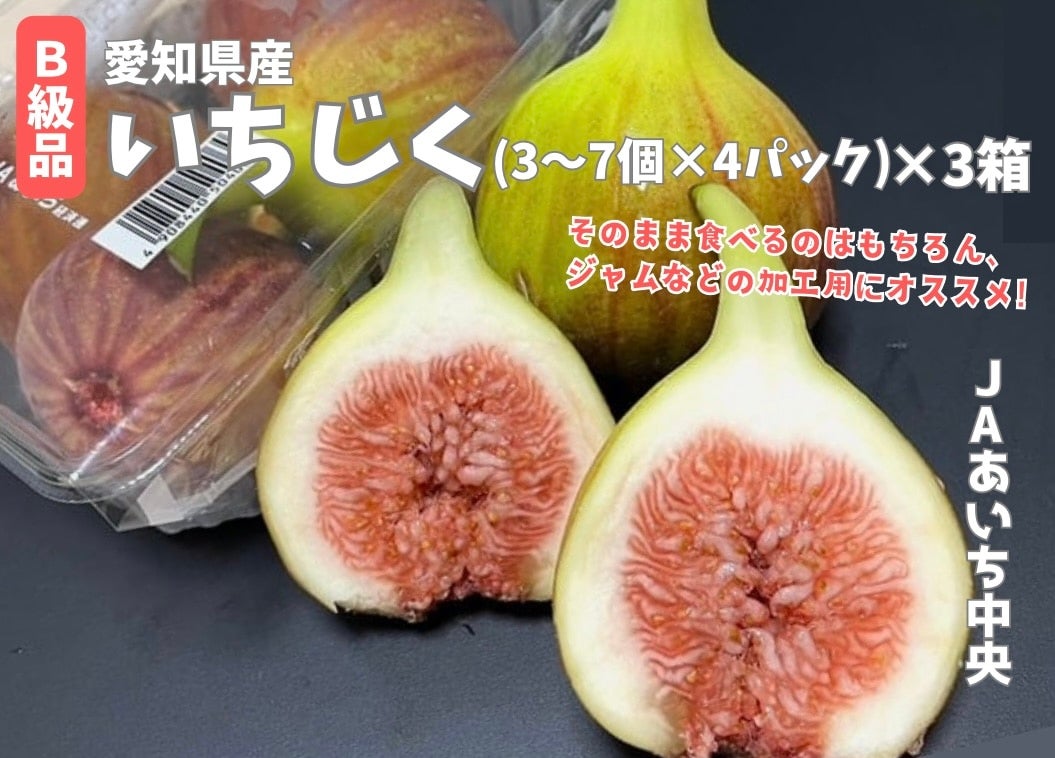 B品】ハウスいちじく3箱 (1パック3～7個入×4): あいちゴコロ|【JA