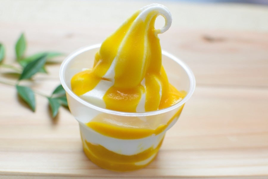 生きてる乳酸菌ヨーグルトカップアイス3種8個セット: しまね