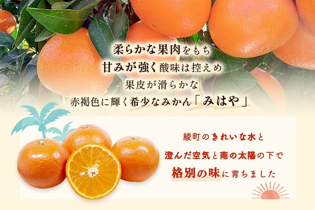 みはや 2.0kg: JAみやざき Tege Mahalo|【JAタウン】産地直送 通販