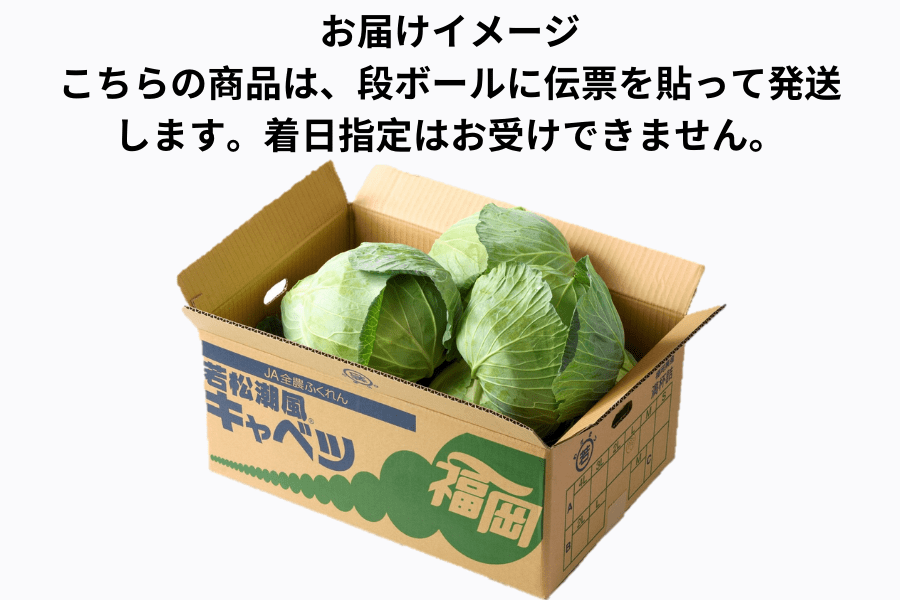 ◎JA北九【潮風が育てた】 若松潮風キャベツ（専用ドレッシング付き
