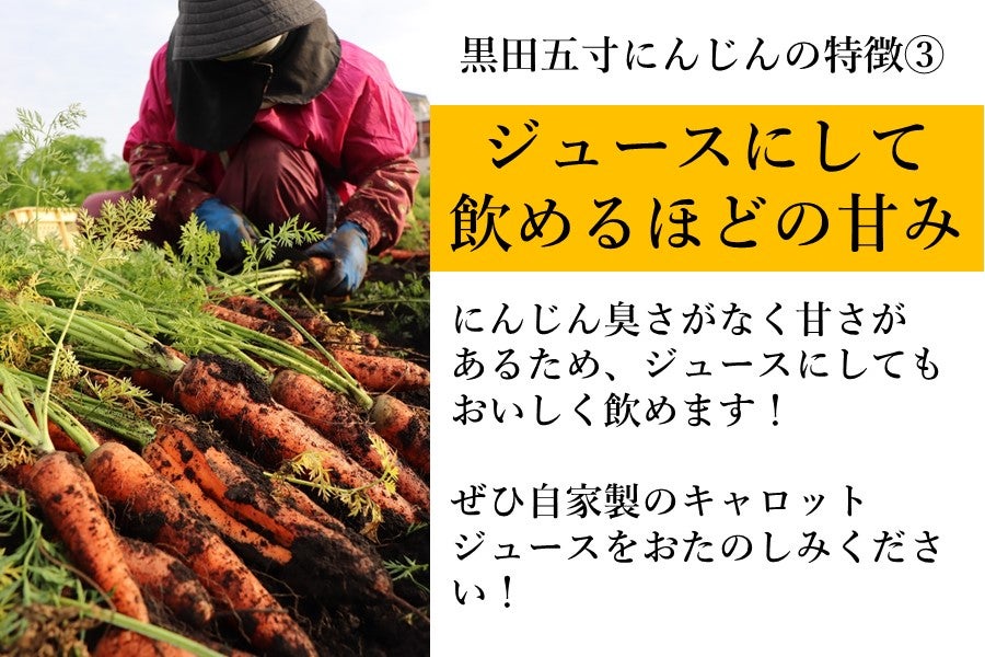約10kg〉（B）黒田五寸にんじん ～甘みがありやわらかく・水分が多い