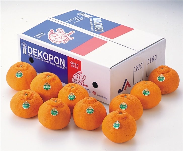 熊本県産 デコポン約3kg【冷蔵便】: you+youくまもと 農畜産物市場