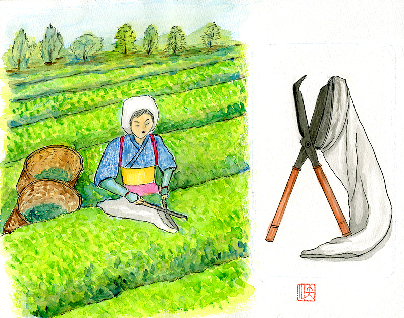 ちゃっきり節」にも唄われた茶摘みばさみの発明者、内田三平／続々