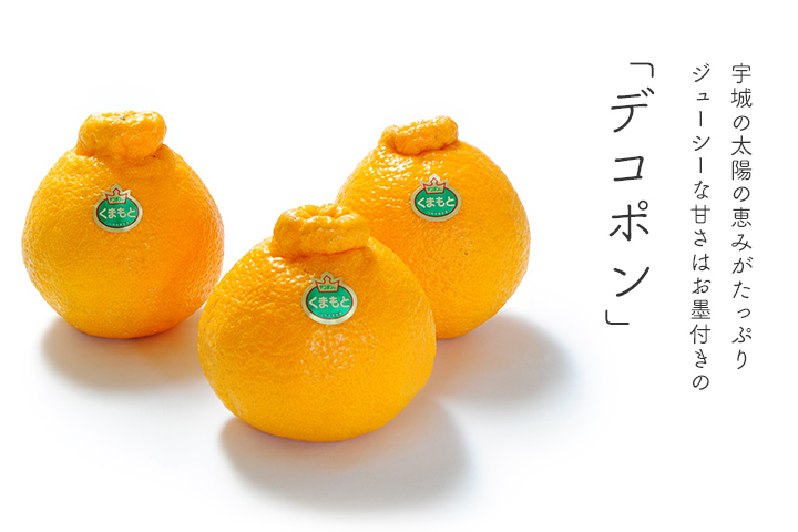 デコポン | JA熊本うき