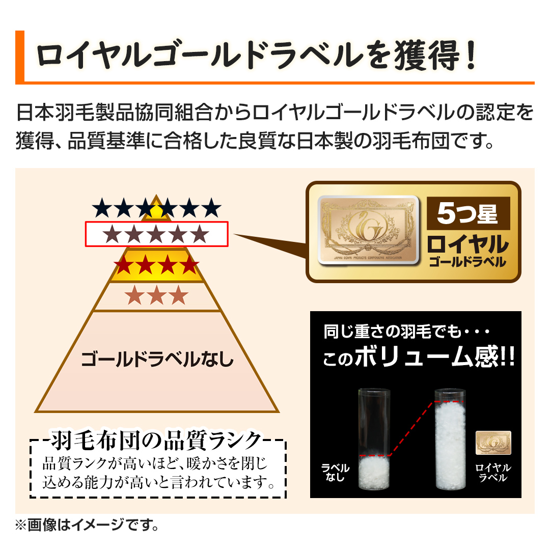 モリリン 布団・快眠グッズ ハンガリー産ダウン90%羽毛布団 ダブル