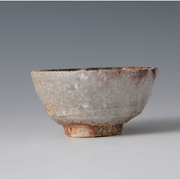 Japan Pottery Net / 荒川智