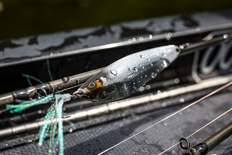 春のリザーバーを制する、最先端フィネスロッド / 斉広峰 - FRESH