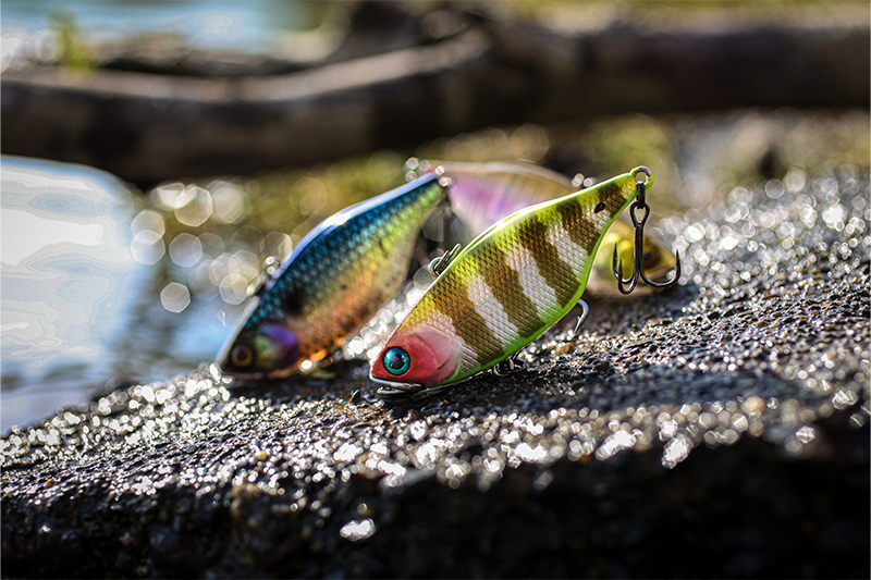 SK-POP GRANDE 平村カスタム - FRESH WATER バス釣り ｜JACKALL