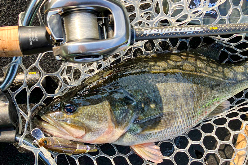 真冬の津風呂湖攻略！ラスターブレード185で爆釣/斉広峰 - FRESH WATER