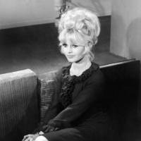 ソフィア・ローレン(2) 俳優のチャールトン・ヘス…：麗しの大女優