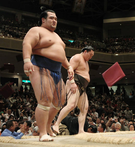 2011年大相撲秋場所13日目、白鵬（右）を寄り切…：大関 琴奨菊