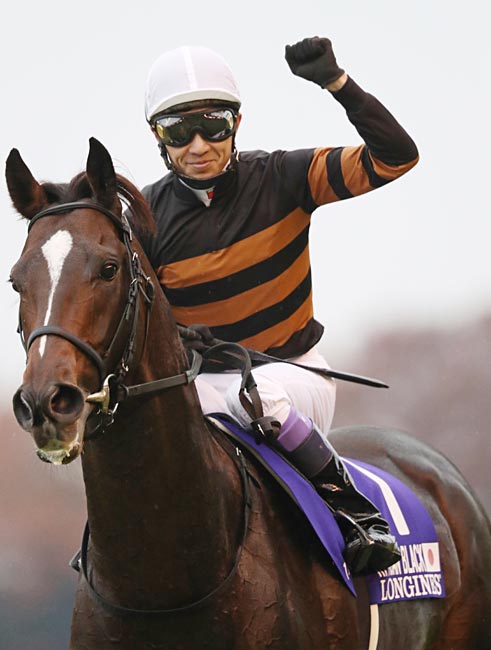 第36回ジャパンカップ（GⅠ）を制したキタサン…：キタサンブラック