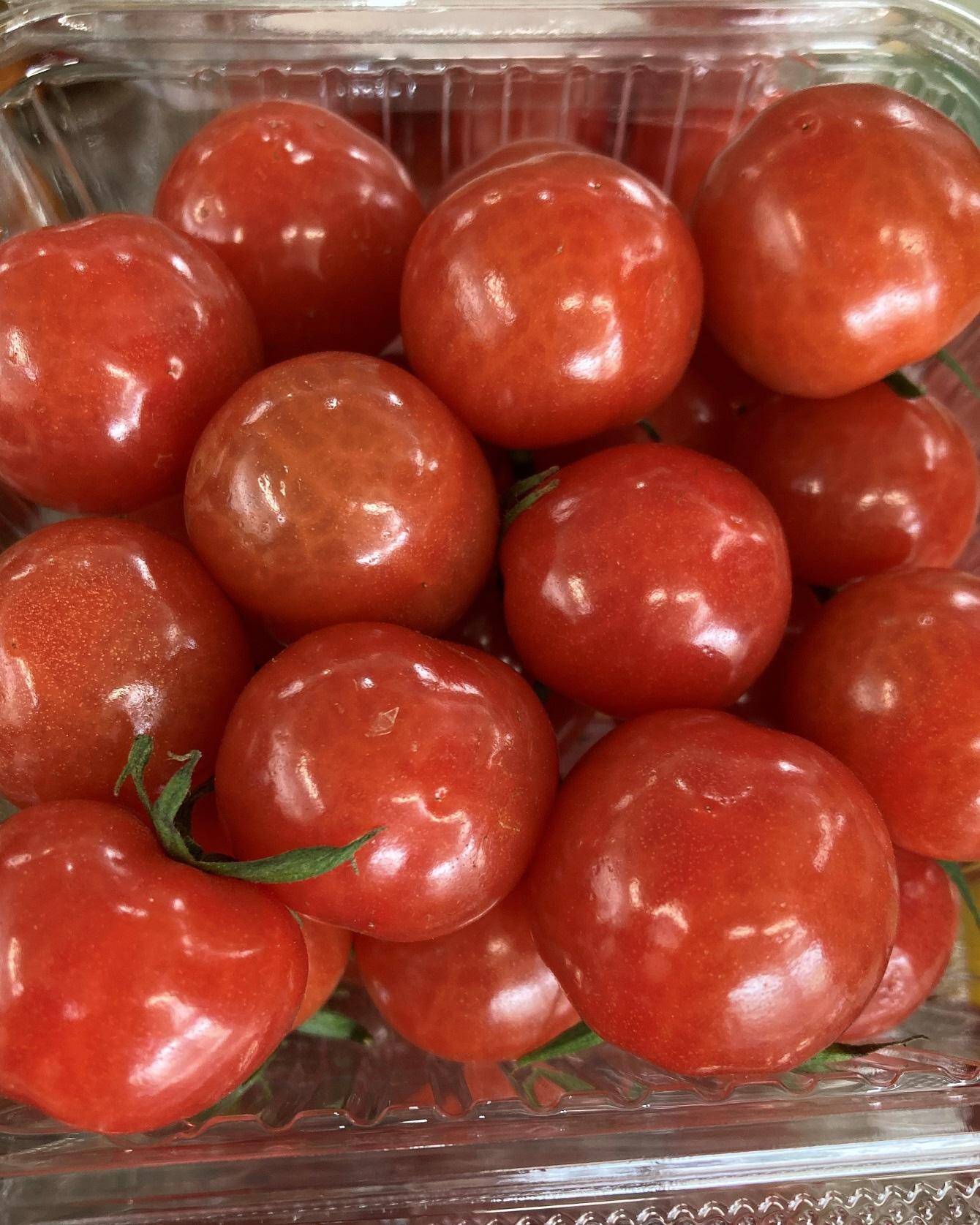 鹿沼のトマトは 愛がぎっしり！」―田島農園さんへ、行ってまいりました