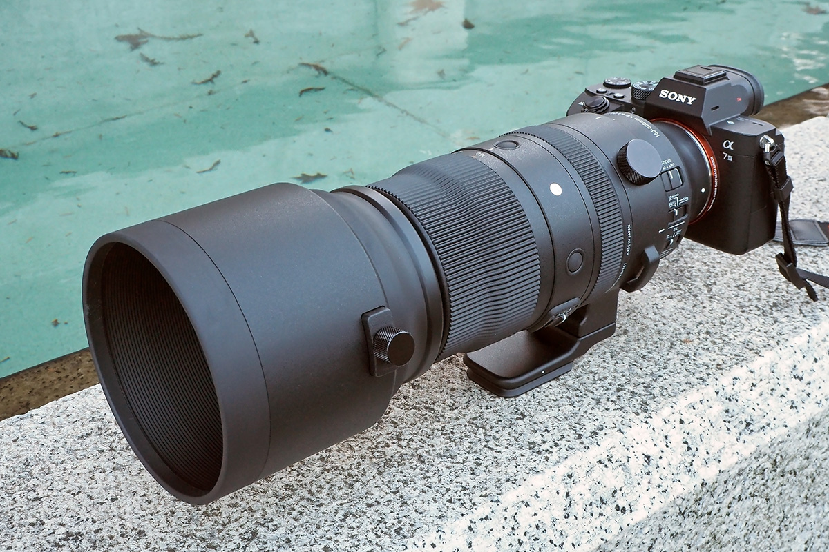 身近になった「超望遠ズームレンズ」 ～その魅力と活用法～ | 公益社団