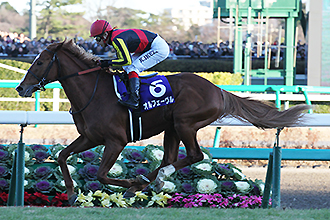 JRAホームページ｜データファイル｜競走成績データ