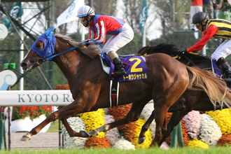 JRAホームページ｜データファイル｜競走成績データ