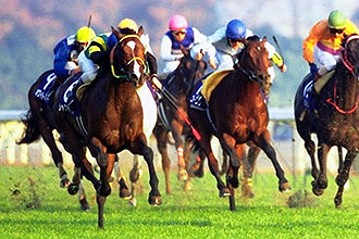 JRAホームページ｜データファイル｜競走成績データ