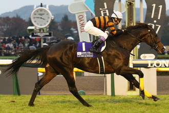 JRAホームページ｜データファイル｜競走成績データ