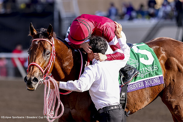 レース結果：2025年ブリーダーズカップクラシック 海外競馬発売 JRA