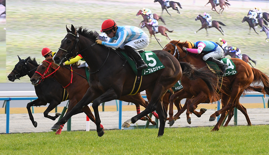 歴史・コース：日刊スポーツ賞シンザン記念 今週の注目レース JRA