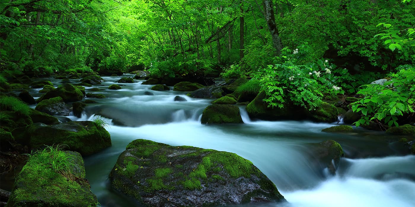 新緑かおる奥入瀬渓流|日本の絶景 JTB 感動の瞬間（とき）