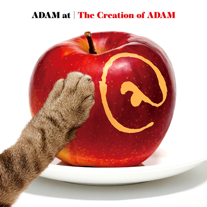 ADAM at | The Creation of ADAM | ビクターエンタテインメント