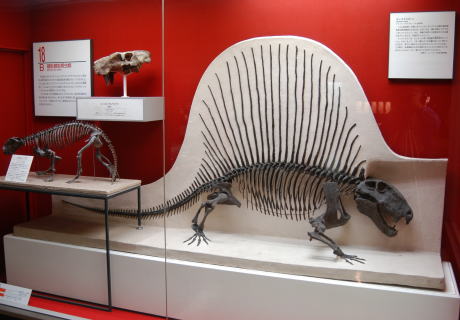 第三紀動物園 展示案内