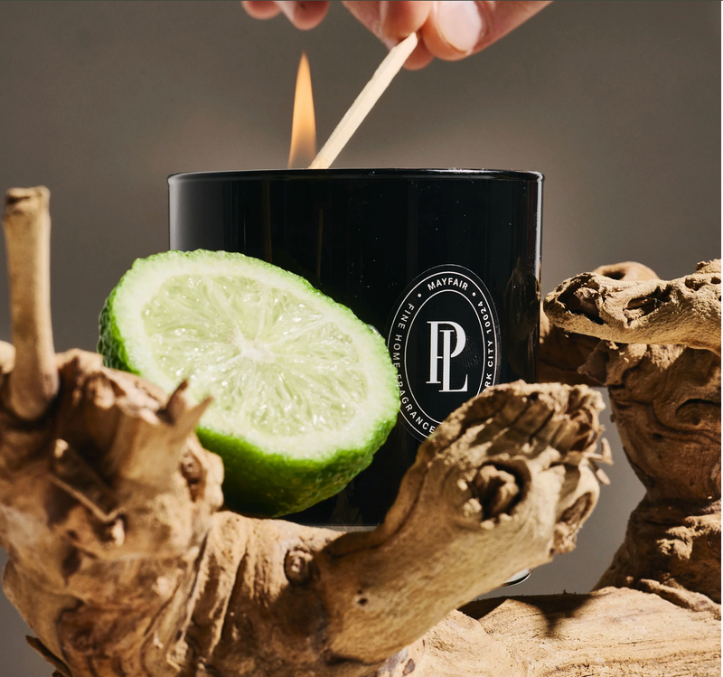 Highrise | Preston Lane