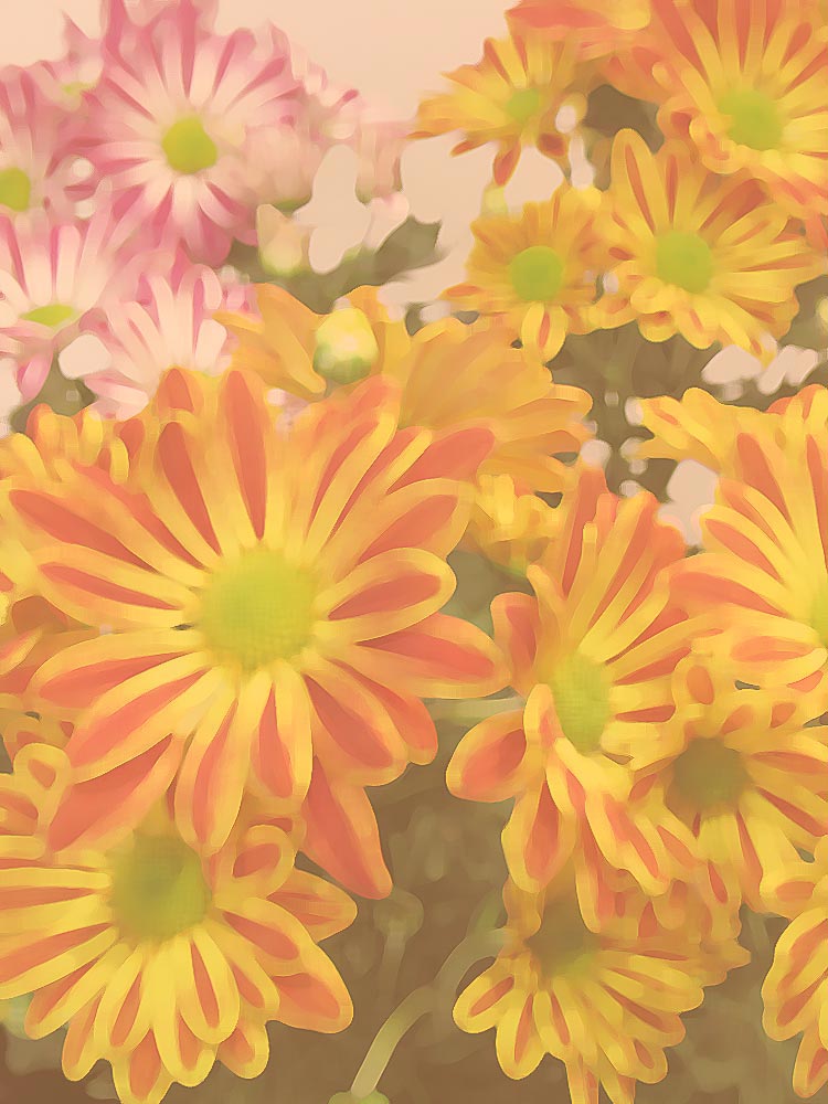 真作】☆絵画☆那波多目功一 日本画6号 秋果 共シール 箱・黄袋入☆L87