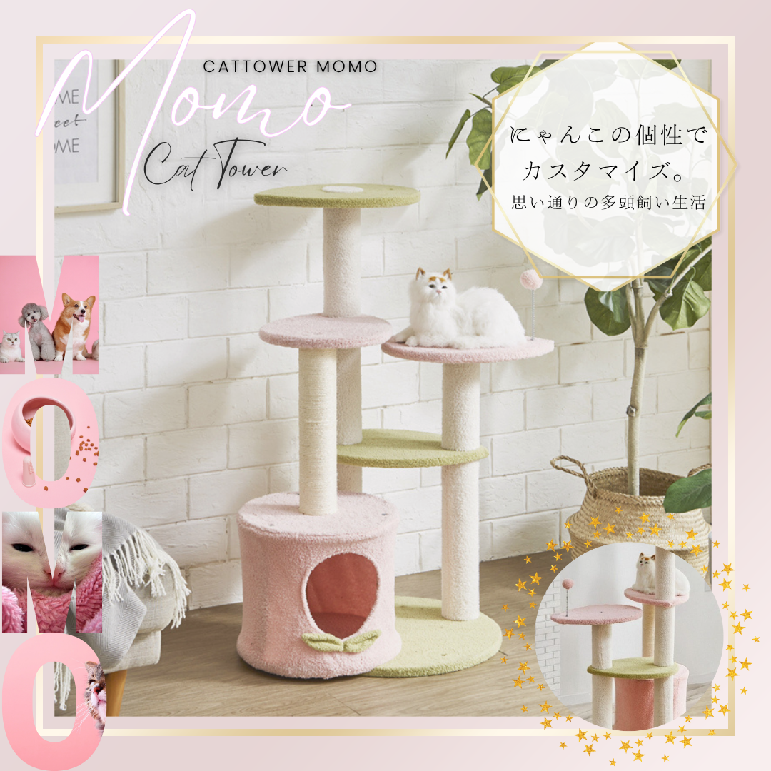 とんみ♡パリの街並みウィンドウショッピング猫ちゃん HIMA♡パリの