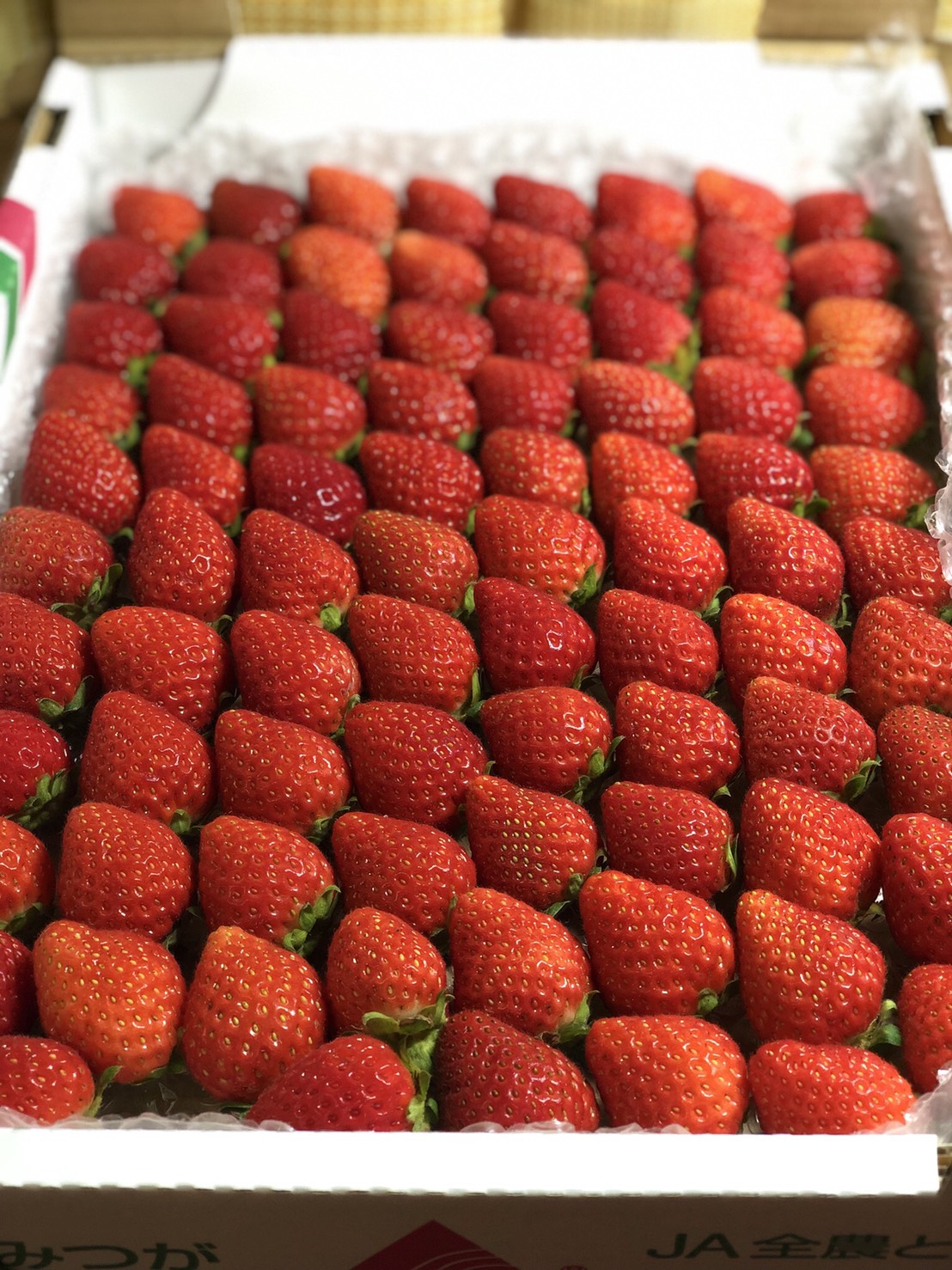 甘くて美味しい完熟いちごの通販｜Mt.Berry奥日光