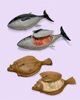 BEAT TAKESHI KITANO 絵描き小僧展［展覧会について］｜東京オペラ